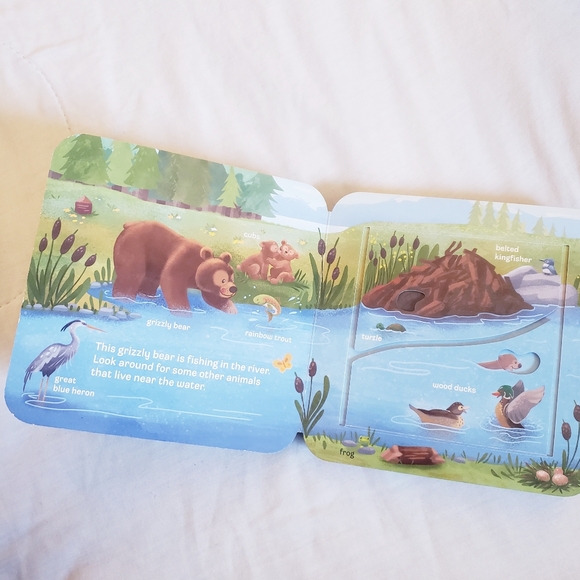 Peek-a-Flap WHO Interactive Book for Kids - Picture 4 of 9